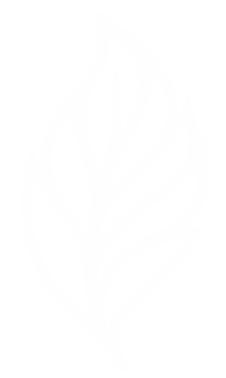 Essence Saúde Corporativa